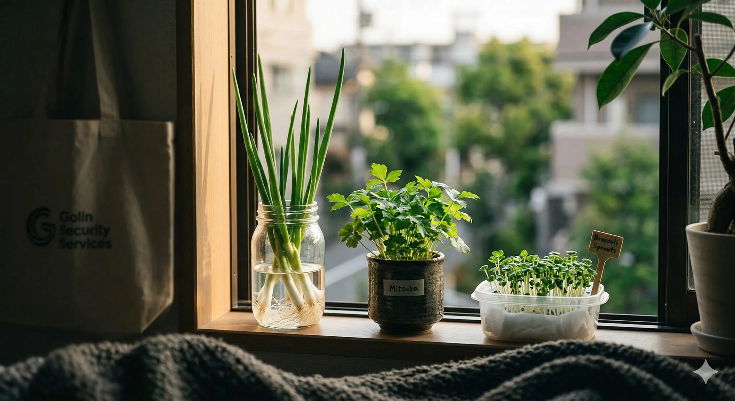 マンションでもOK！物価高を笑い飛ばす『放置系リボベジ』のススメ